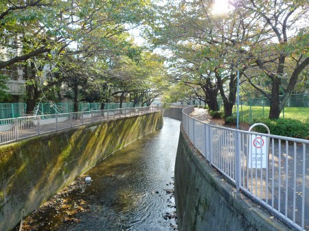 ハーモニーテラス和泉Ⅱの周辺