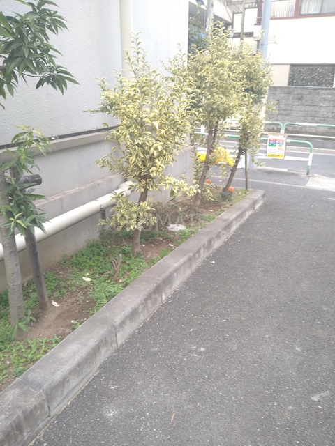 トレフェリクス東十条のその他|植栽☆彡