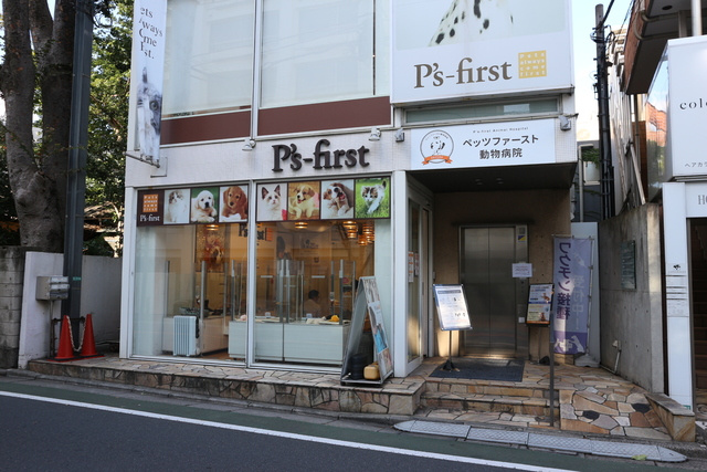 シティテラス等々力のその他|ペッツファースト動物病院