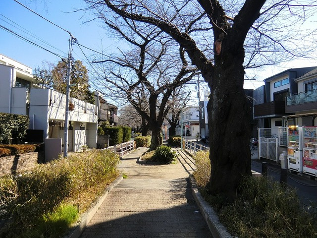 シティテラス等々力のその他|呑川緑道
