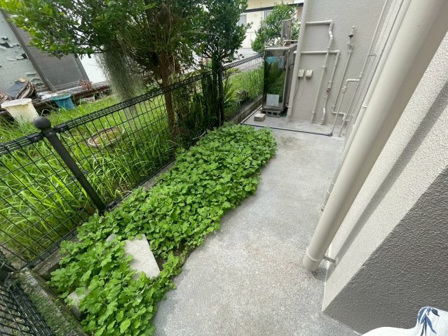 沖縄市高原７丁目の中古一戸建のその他