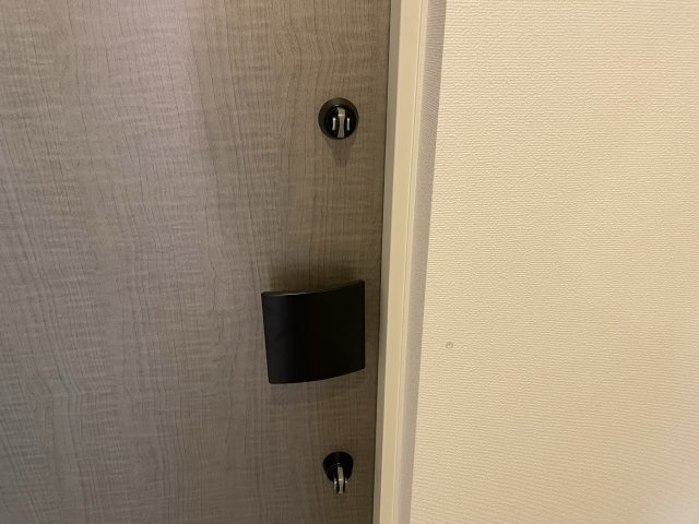 Dimus新大阪の玄関|同マンション反転タイプの間取り写真