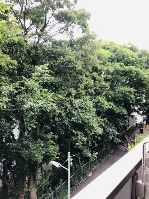 Ｓｅｖｅｎ　Ｌｅａｖｅｓ　白金台の展望|★バルコニーからの景色です★