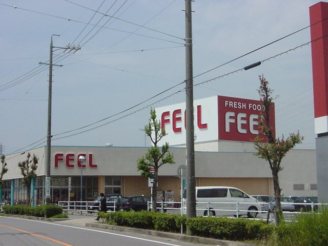 イーストパレス壱番館の周辺|フィール岡崎柱町店まで283ｍ
