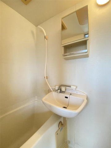 エリーナ新屋敷の洗面所