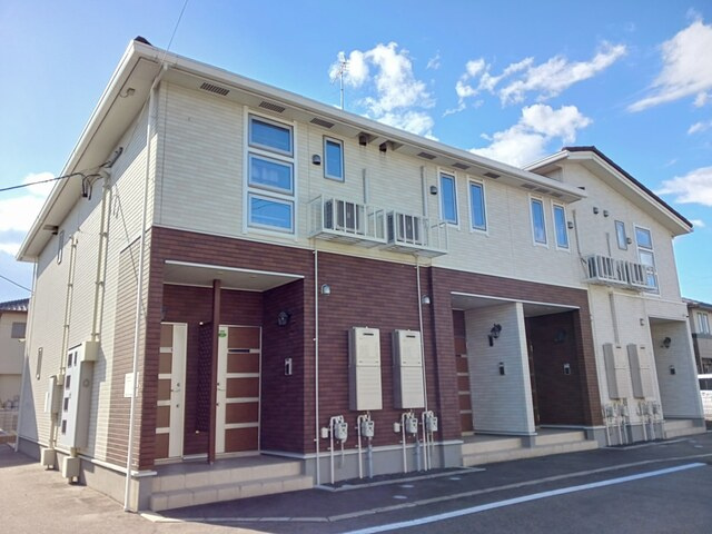 エムズ　プラシード