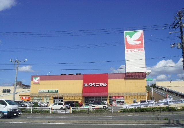 アプリコットのその他|その他