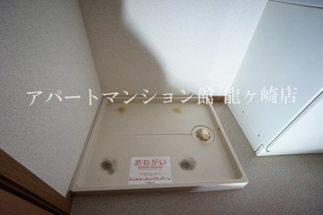 アミスターのその他