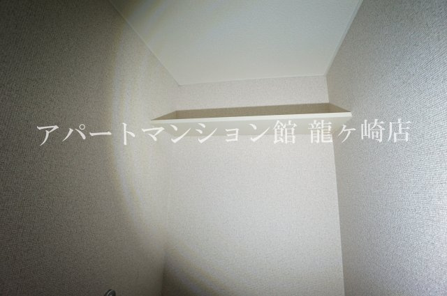 アミスターのその他