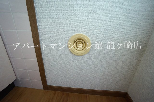 アミスターのその他