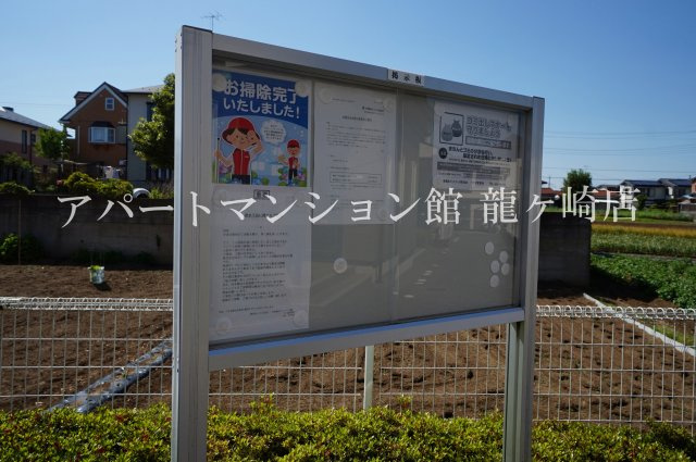 アミスターのその他