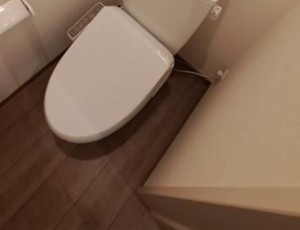 ガーデンヒルズ流山のトイレ
