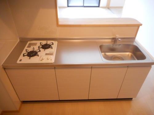 熊本市中央区南熊本２丁目の賃貸マンションのキッチン