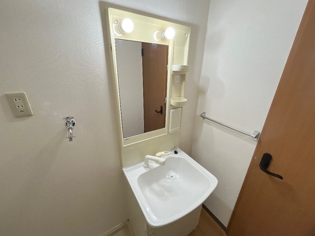 フォレストハイムDⅡ番館の洗面所