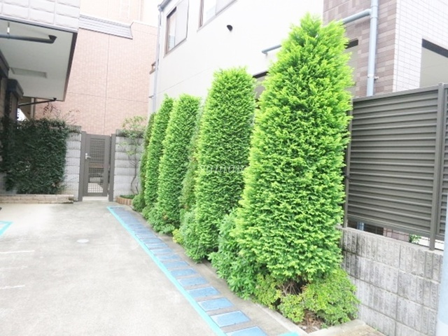 ヴィラージュシャルマンⅢのその他|綺麗な緑の植栽です☆彡
