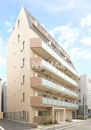 ARTESSIMO STELLA の画像