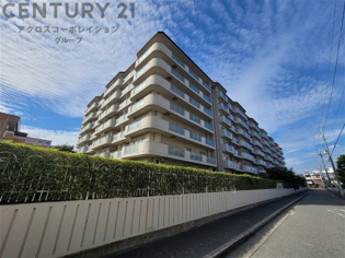 RC造7階建て