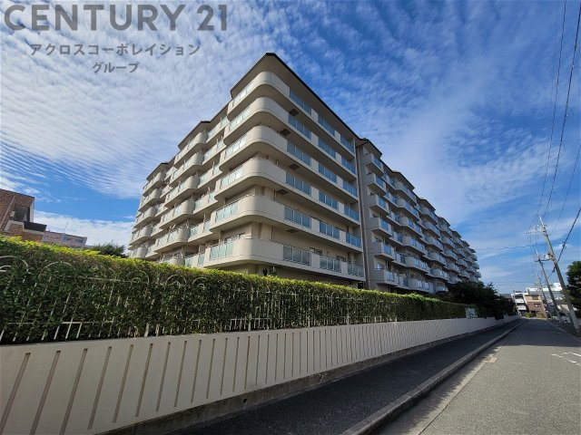 RC造7階建て