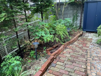 【庭】 | 鵠沼松が岡１丁目戸建