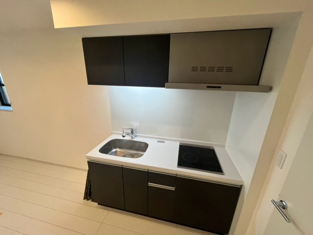 柏市千代田１丁目の賃貸マンションのキッチン