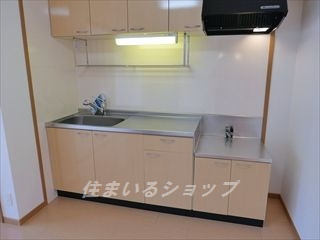 モデッサ　Ⅱ番館のキッチン|浄水器一体型シャワー水栓