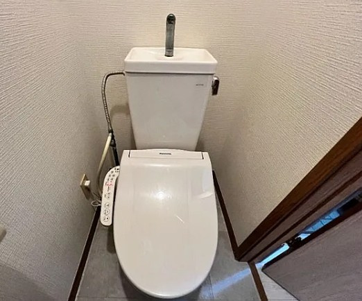 グリーン・ミヌマのトイレ