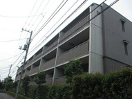 ステラメゾン下北沢の画像