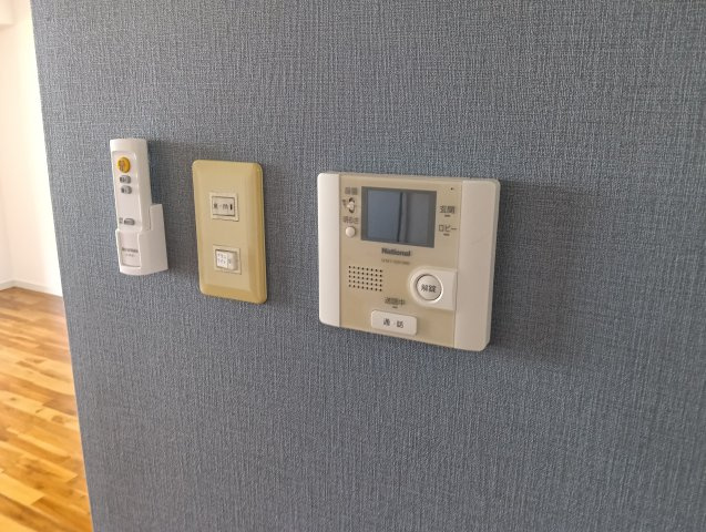 Ｍａ．サンセヴェリアのその他