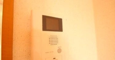 パルティアのセキュリティ