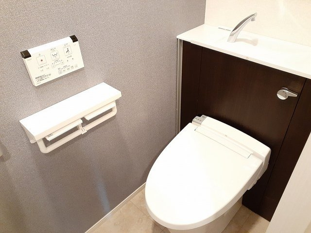 ロワールのトイレ