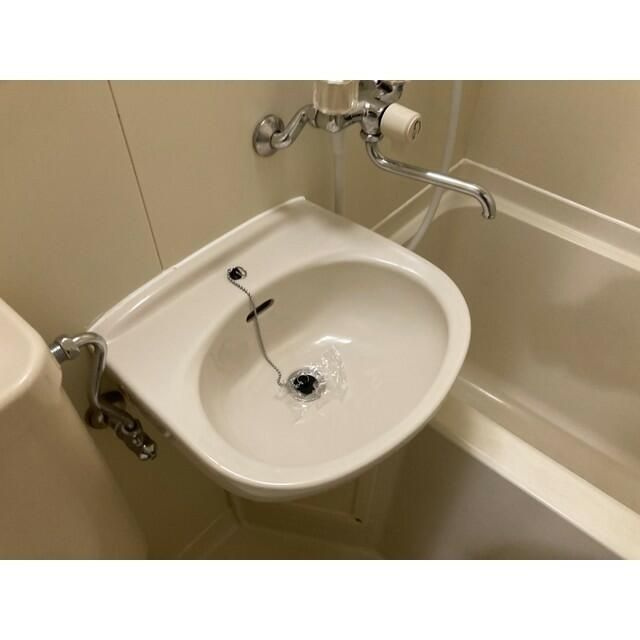 ビオラの洗面所