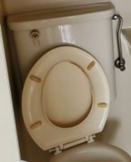 ニュー青江マンションのトイレ