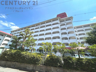 当日見学可能ですので、見学希望の際はお気軽にお問い合わせください。ネットからの見学予約も便利です♪