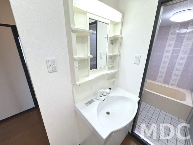 徳島市上助任町蛭子の賃貸マンションの洗面所