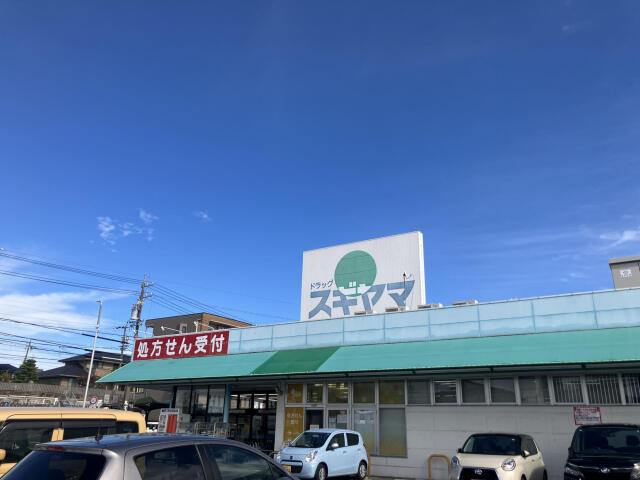 名古屋市緑区藤塚１丁目の新築一戸建の周辺|ドラッグスギヤマ神の…まで600m