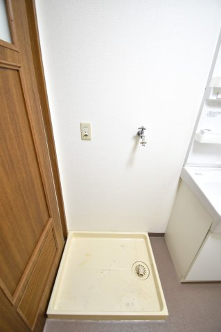 マンシオン・タイラのその他
