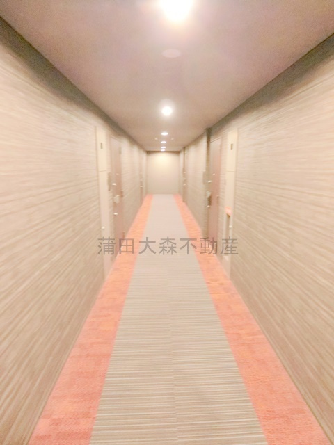 クオリタス南大井のその他共用部分|共用廊下