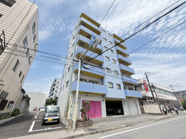 楓雅24