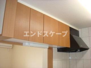 プラケーレのキッチン|キッチン収納
高崎、前橋のお部屋探しはエンドスケープまで！お客様の理想お聞かせ下さい♪