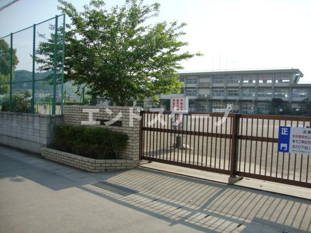 プラケーレの周辺|富岡市立高瀬小学校まで563ｍ
高崎、前橋のお部屋探しはエンドスケープまで！お客様の理想お聞かせ下さい♪