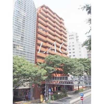 【外観】 | 西新宿ダイヤモンドパレス | 外観です。