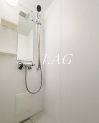 【浴室】 | ハーモニーテラス日ノ出町 | シャワールームです。