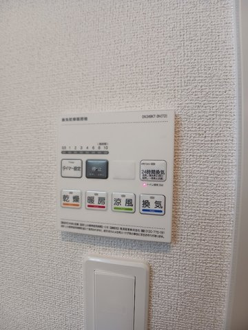 ステラのその他