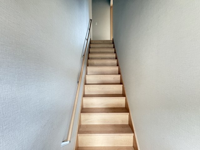 Ｐｅｇａｓｕｓのその他