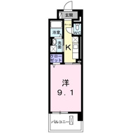 カモミールの画像