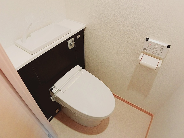 【その他】カモミール 