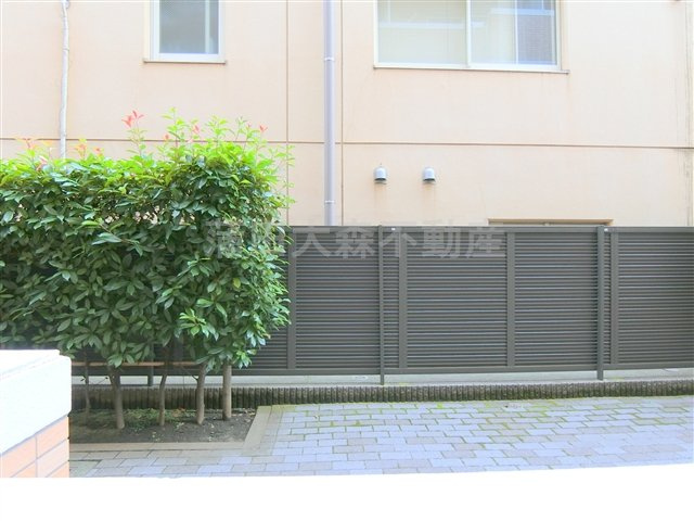マーサ池上の展望