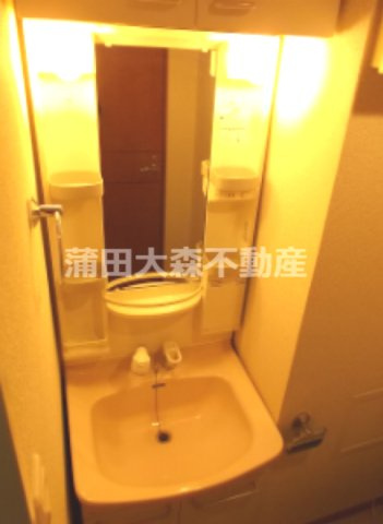 マーサ池上の洗面所
