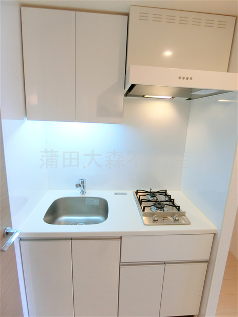 パークアクシス蒲田壱番館のキッチン|2口ガスシステムキッチン