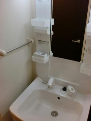 レオネクスト立花の洗面所